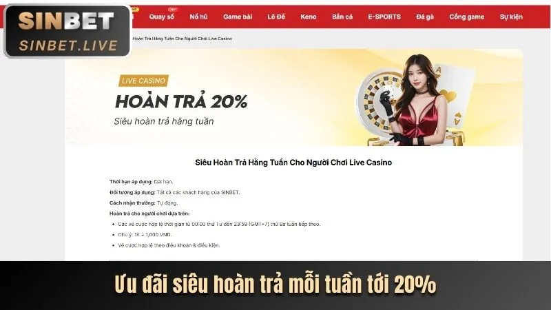 Hoàn trả hàng ngày shbet0 casino